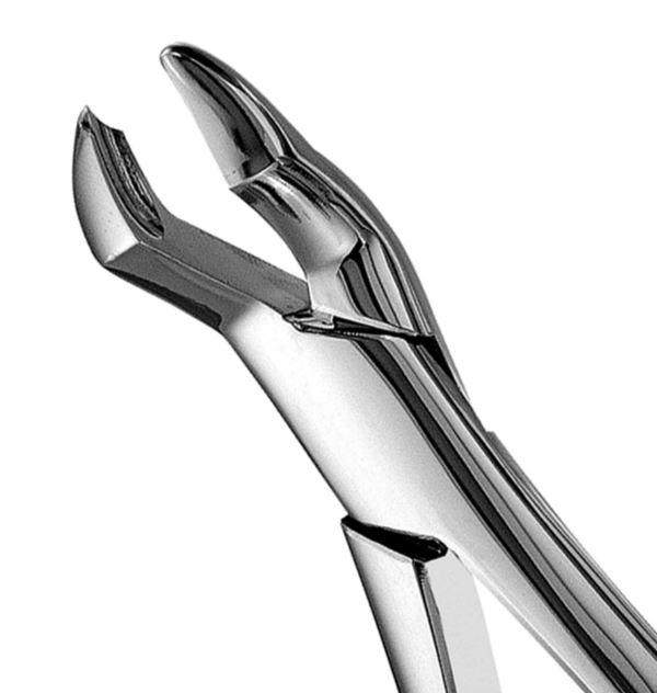 upper molar forceps #53 upper molar forceps #53