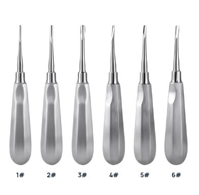teeth elevators